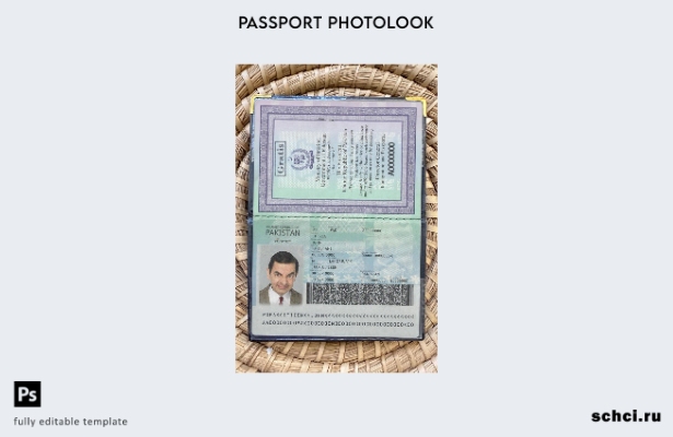 цифровая загрузка Пакистана новый паспорт подарок фотошаблон